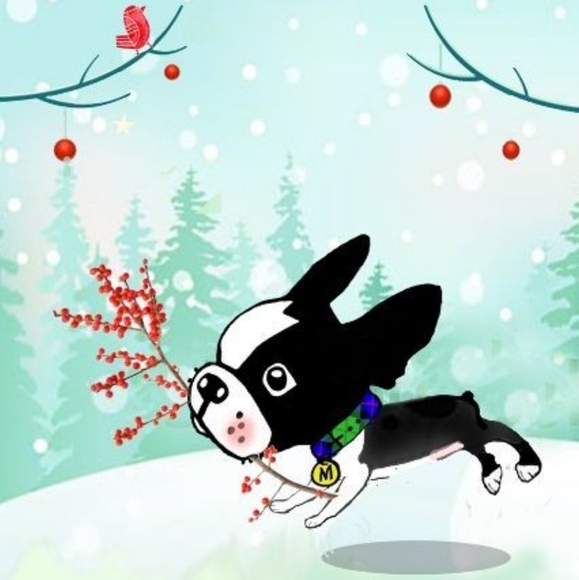 ๐พ ๐ Katie & Iggy - Posh Pups! ๐๐พ - Picture 9 of 12